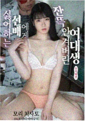 山海情